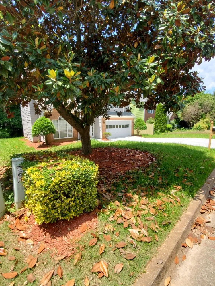 Local landscape installation in Lawrenceville, GA - Life Made Simple Lawn Care