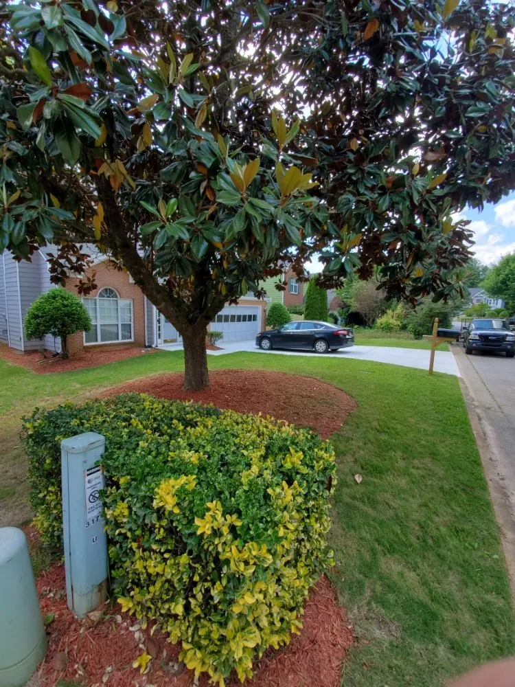 Professional landscape design for outdoor upgrades in Lawrenceville, GA by Life Made Simple Lawn Care