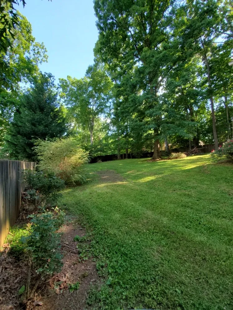 Expert yard maintenance for homes across Lawrenceville, GA - Life Made Simple Lawn Care