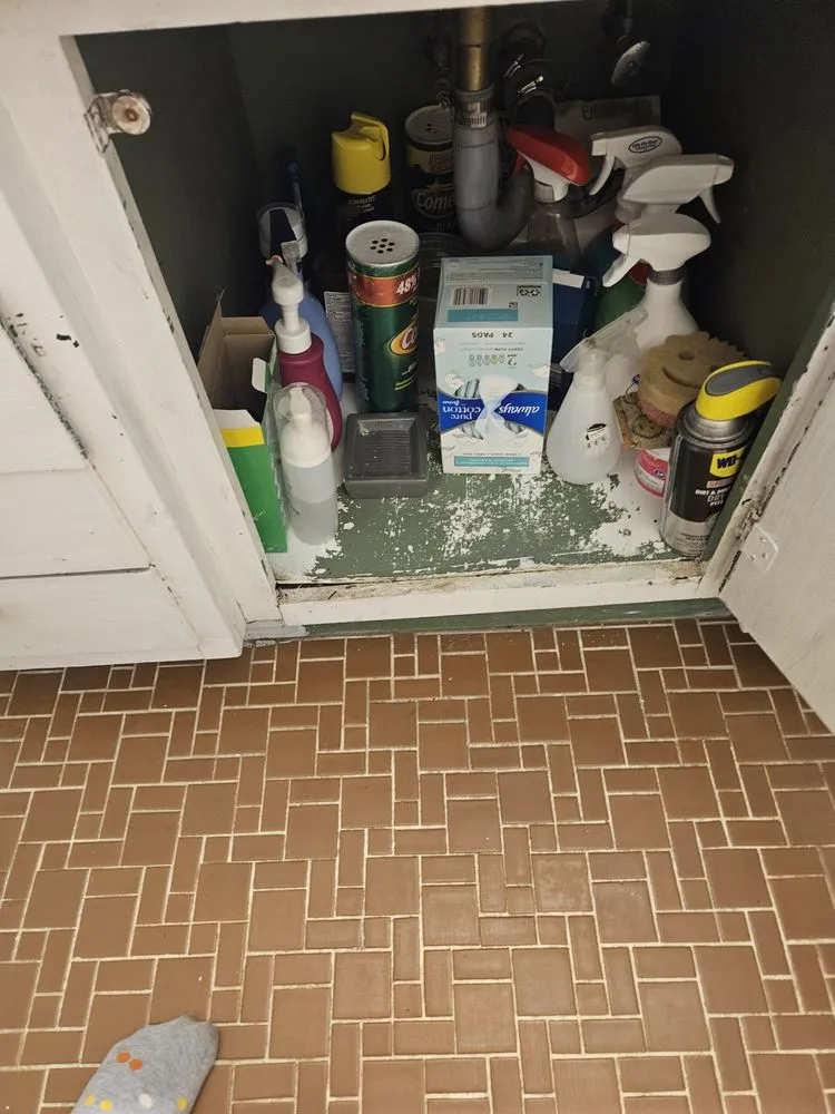 Affordable landscape installation for year-round maintenance across Moultrie, GA - Life Maid Easier Cleaning Service