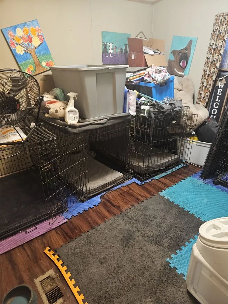 Affordable landscape design experts serving Moultrie, GA - Life Maid Easier Cleaning Service