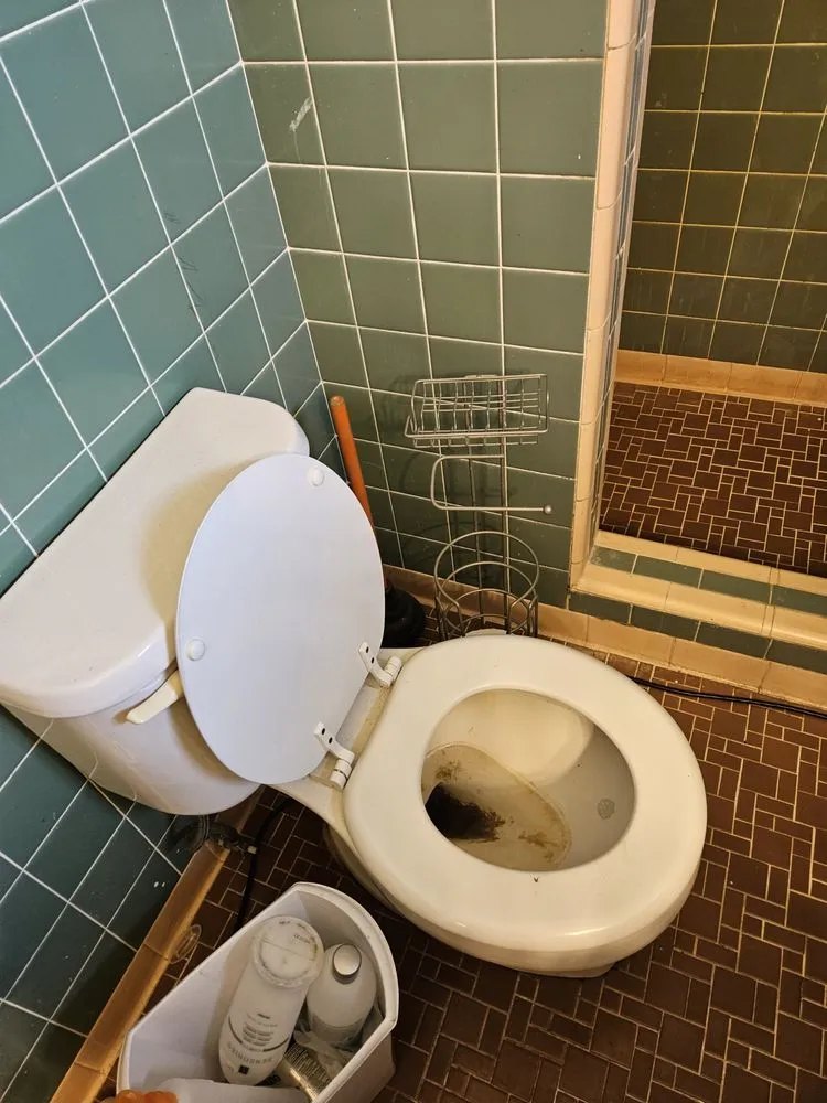 Expert garden landscaping near you in Moultrie, GA by Life Maid Easier Cleaning Service