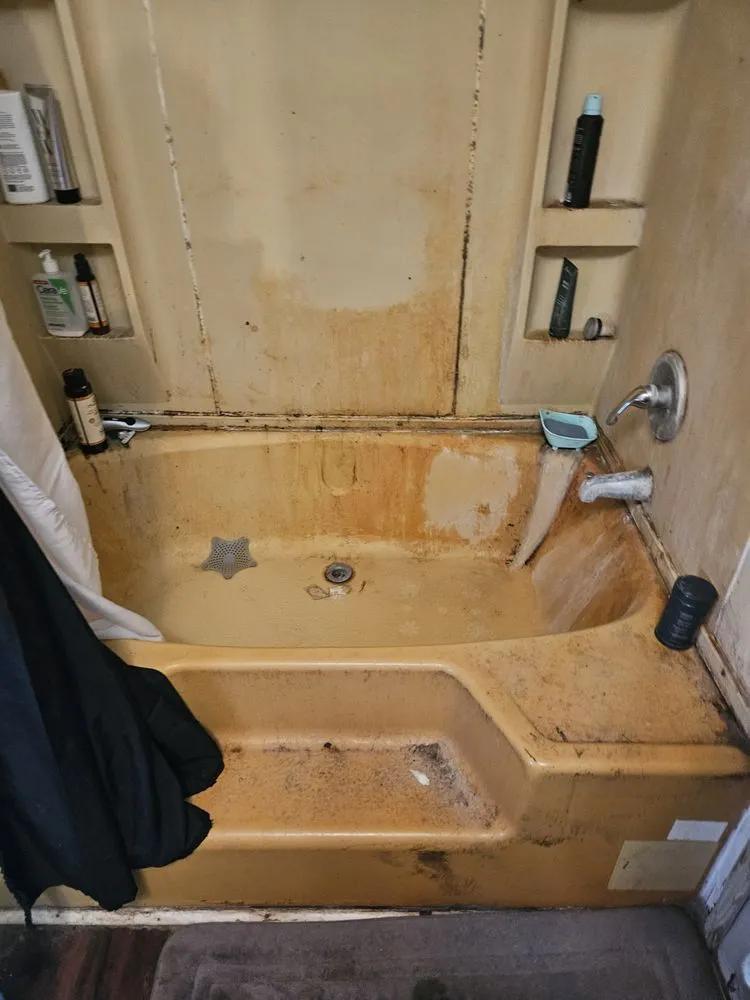 Top-rated yard cleanup service in Moultrie, GA - Life Maid Easier Cleaning Service