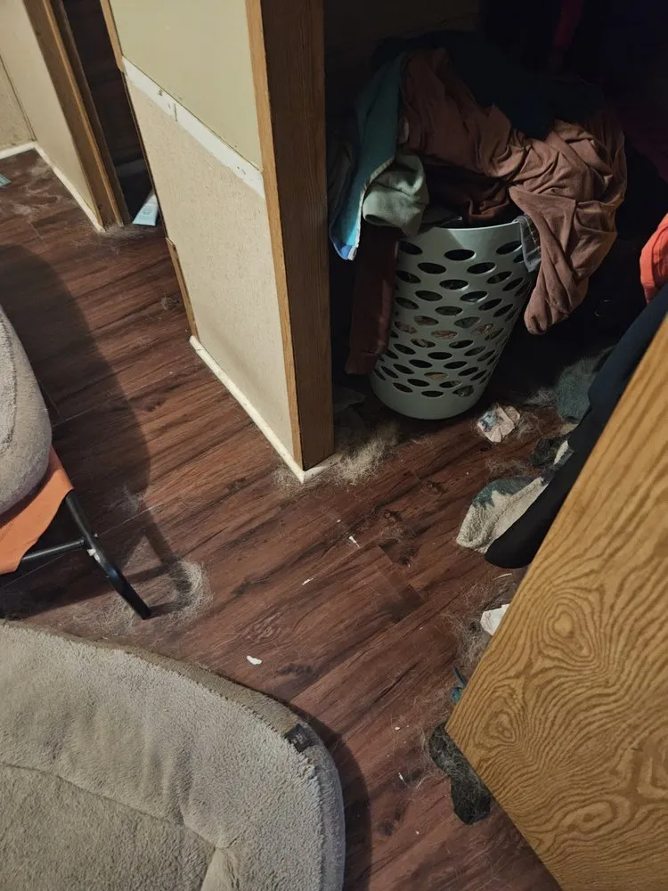 Local residential landscaping with custom design in Moultrie, GA by Life Maid Easier Cleaning Service