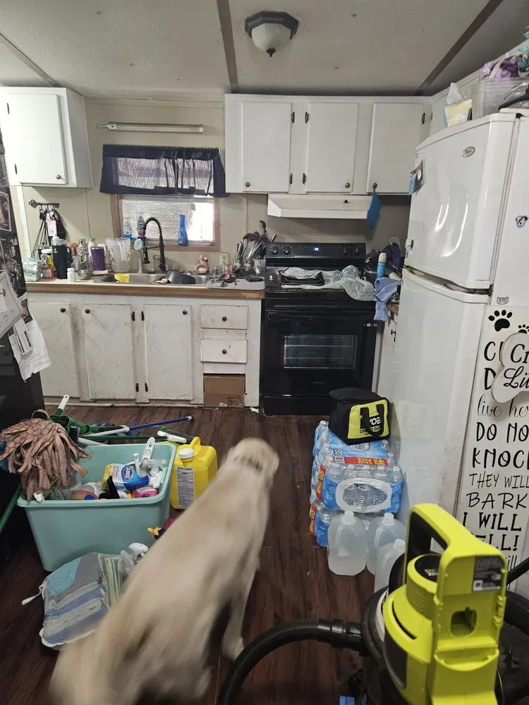 Affordable landscape installation experts serving Moultrie, GA - Life Maid Easier Cleaning Service