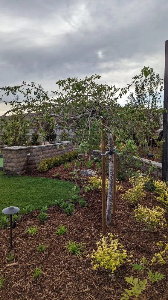 Expert lawn mowing service with custom design in Fernley, NV by Life Outside Landscape and Excavation