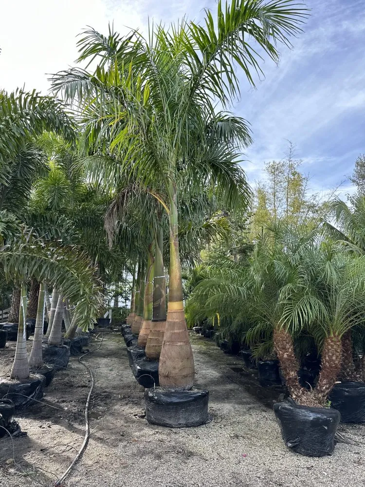 Local garden landscaping in Weston, FL - Life Proof Hardscapes