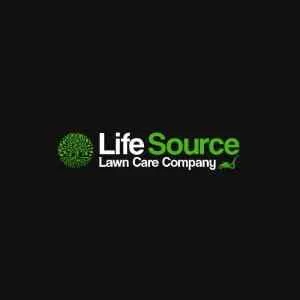 Professional yard cleanup service for outdoor upgrades in Randallstown, MD by Life Source Lawn Care
