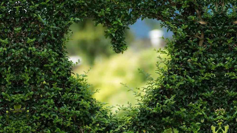 Professional yard cleanup service for year-round maintenance across Randallstown, MD - Life Source Lawn Care