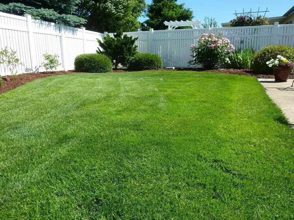 Top-rated landscape installation in Randallstown, MD - Life Source Lawn Care