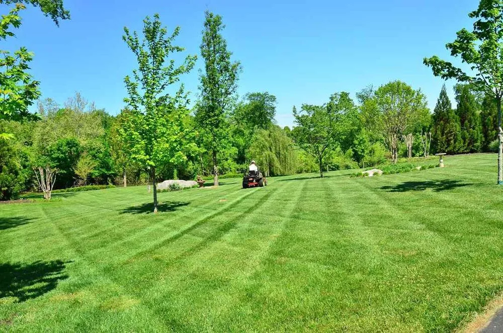 Custom landscaping services in Randallstown, MD by Life Source Lawn Care