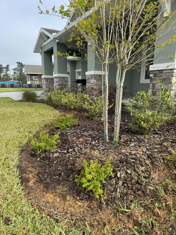 Reliable landscape design in Summerfield, FL by Life Tree Landscape
