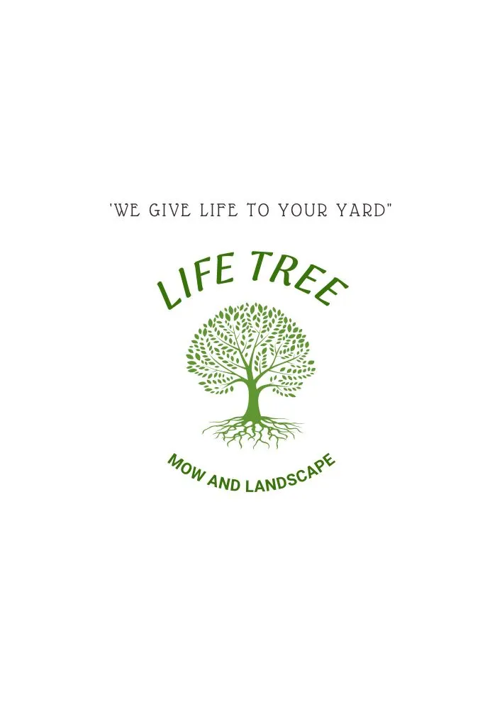 Top-rated landscaping services near you in Summerfield, FL by Life Tree Landscape