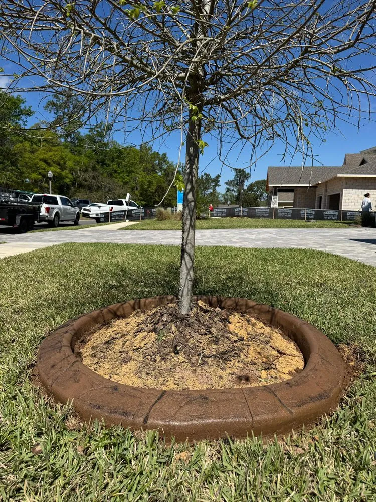 Professional lawn care service with custom design in Summerfield, FL by Life Tree Landscape