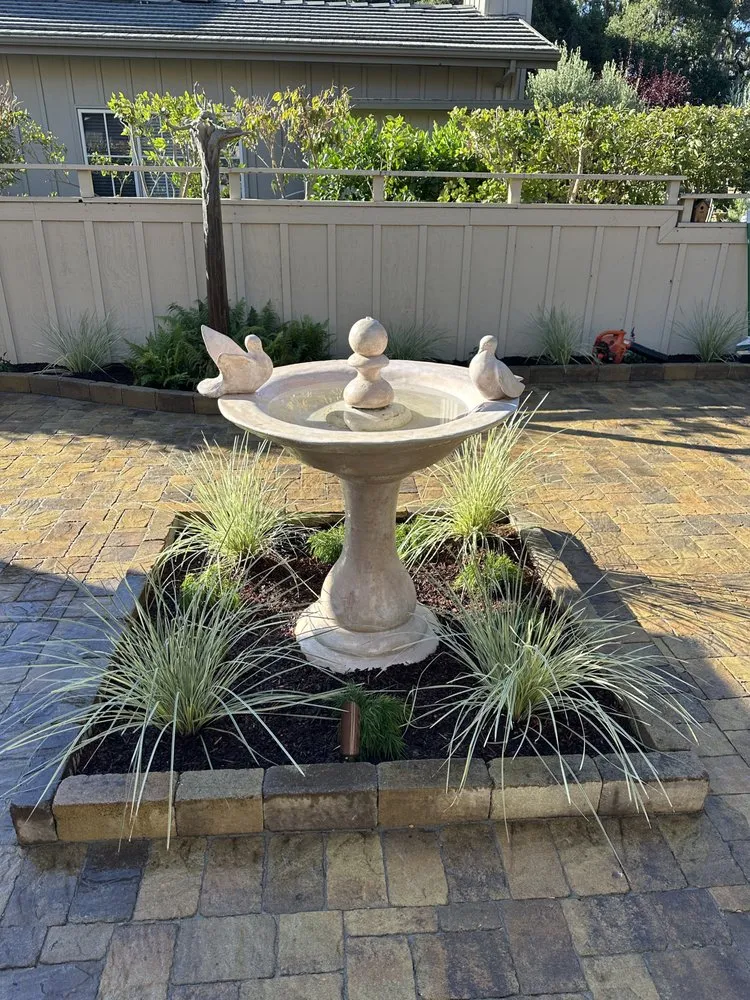 Expert lawn care service for residential properties in Seaside, CA by Life Tree Landscaping