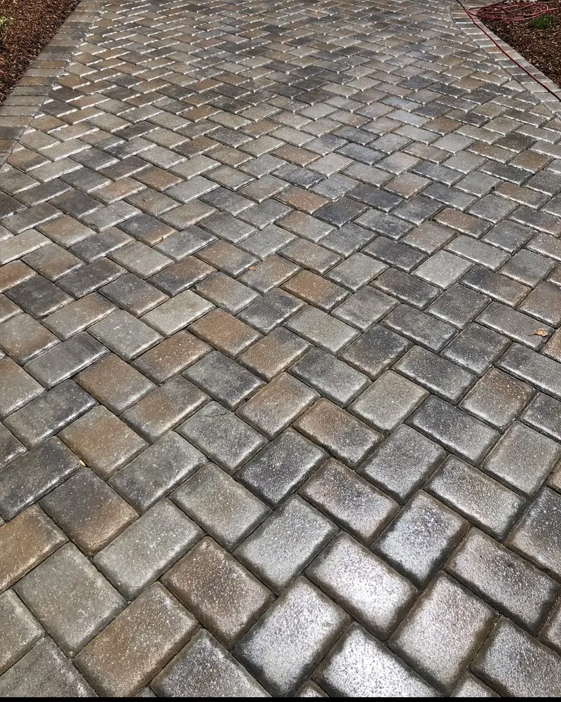 Expert landscape design in Seaside, CA by Life Tree Landscaping