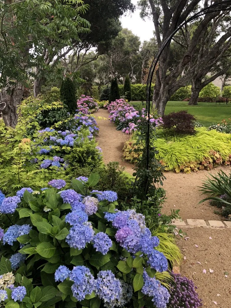 Local landscaping services experts serving Seaside, CA - Life Tree Landscaping