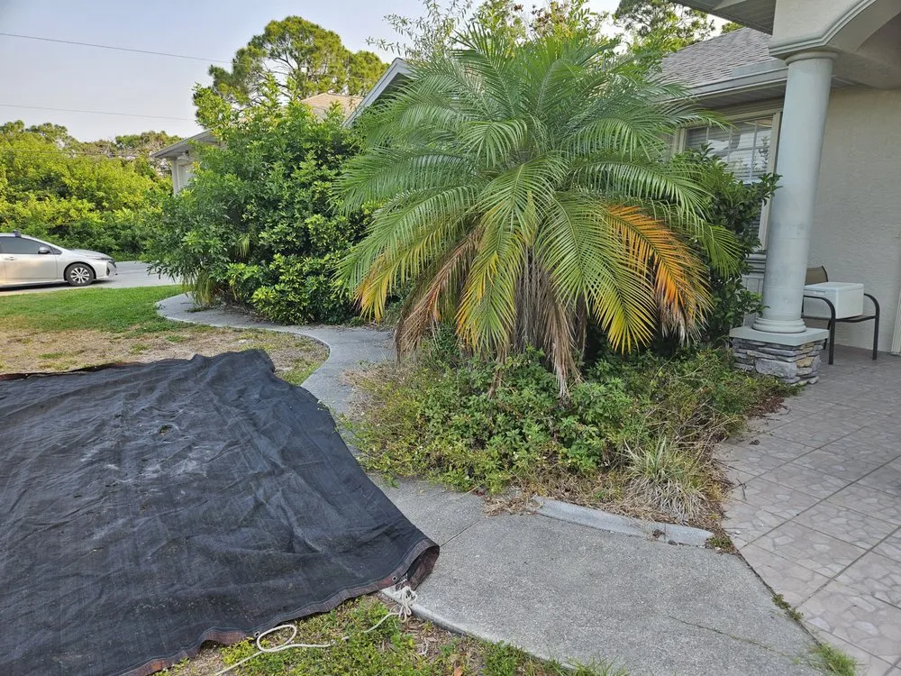 Affordable landscaping services in Port Charlotte, FL by Lifeguard Pools and Lawns