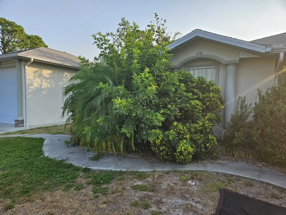 Local residential landscaping for beautiful yards across Port Charlotte, FL - Lifeguard Pools and Lawns