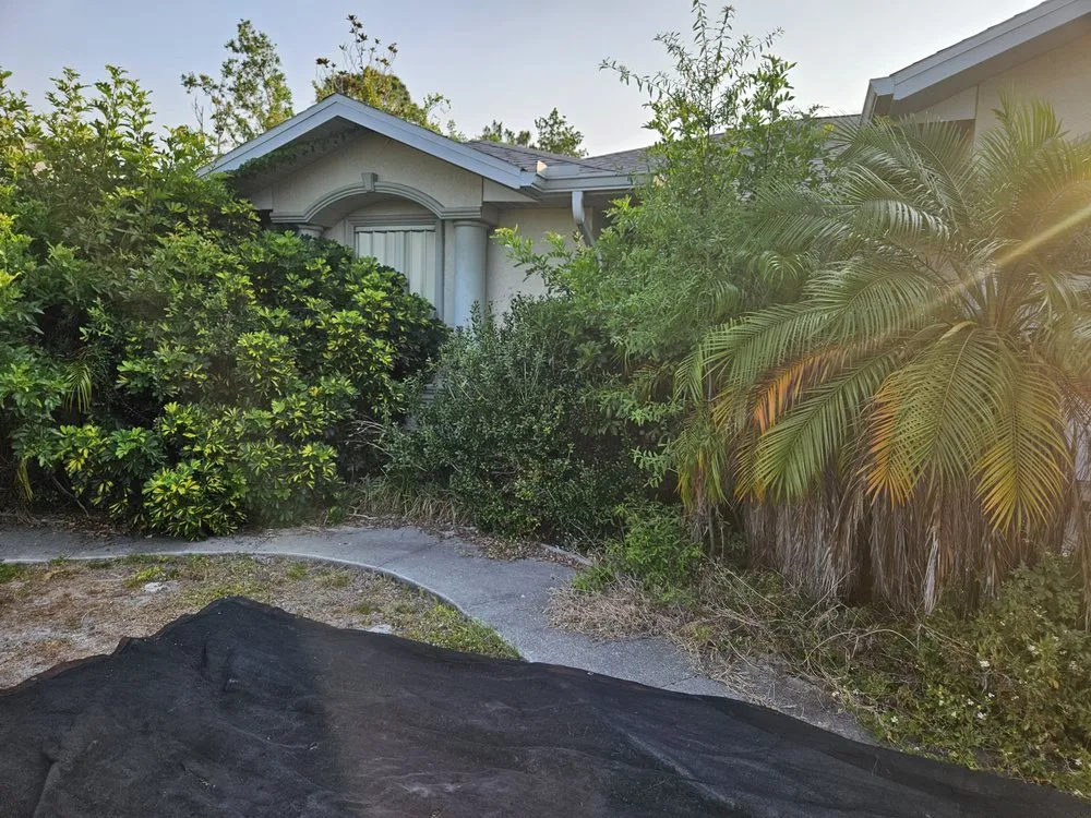 Affordable outdoor landscaping in Port Charlotte, FL by Lifeguard Pools and Lawns