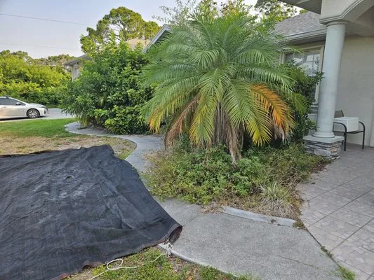 Lifeguard Pools and Lawns Logo