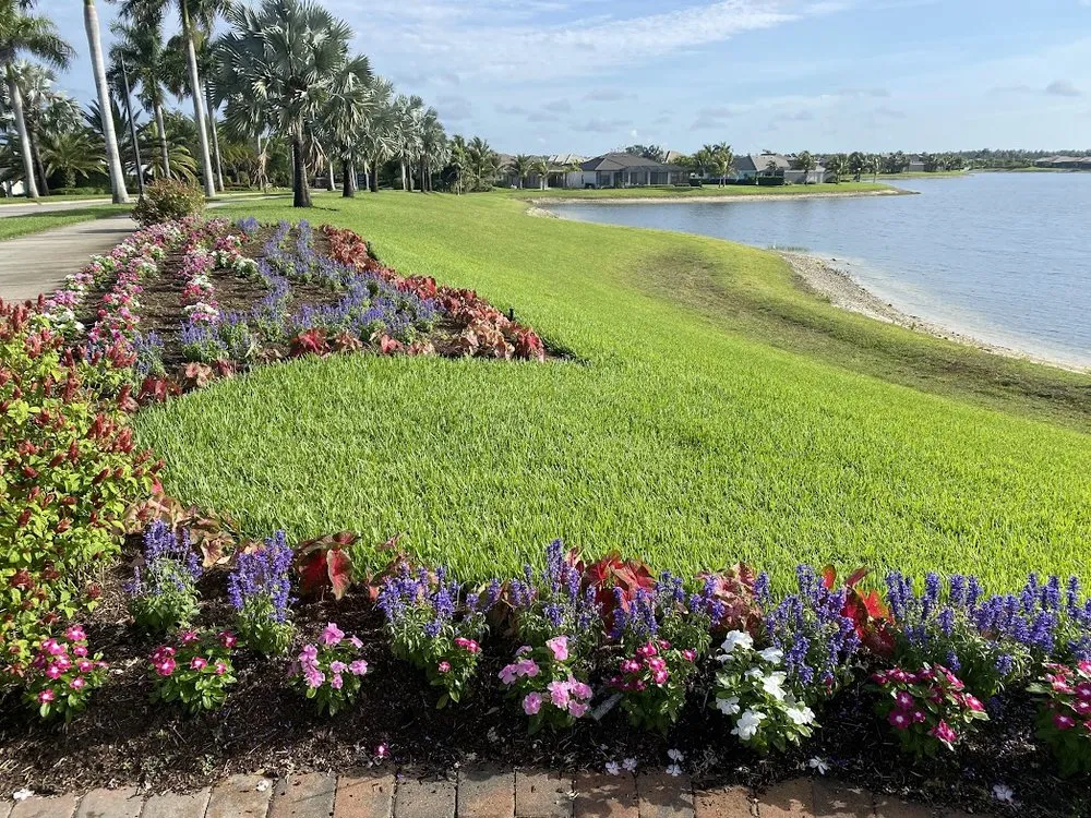 Professional yard maintenance experts serving Immokalee, FL - Life's Lawn Care