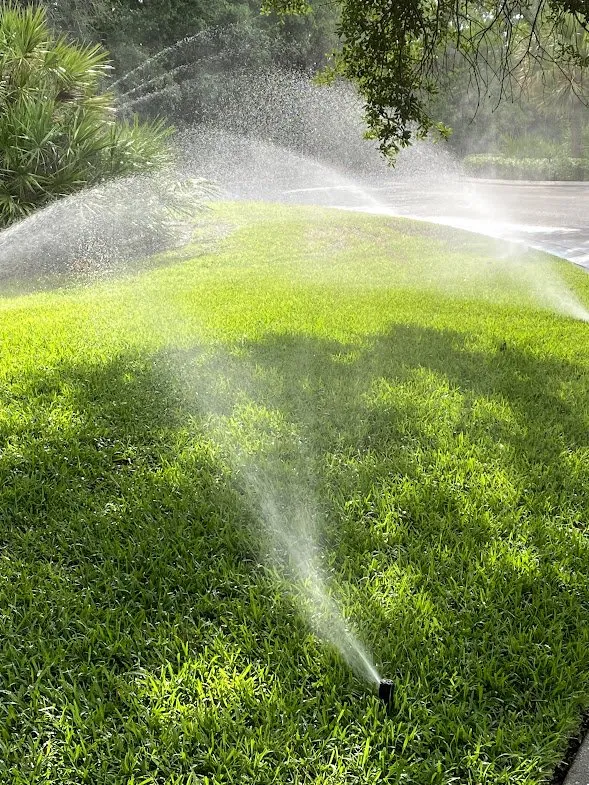 Affordable residential landscaping in Immokalee, FL by Life's Lawn Care