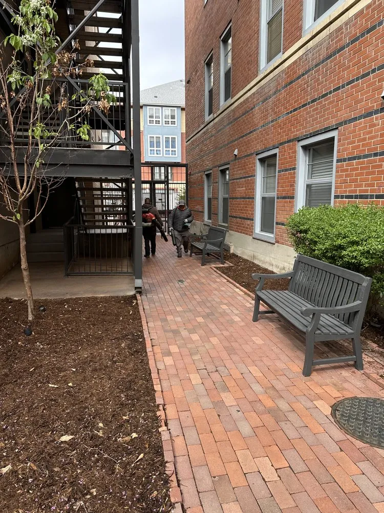 Reliable lawn mowing service for outdoor upgrades in Denver, CO by Lifescape Colorado | Landscape Architects