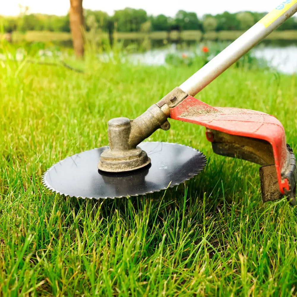 Local residential landscaping for year-round maintenance across Tucker, GA - Lifespan Lawn Care