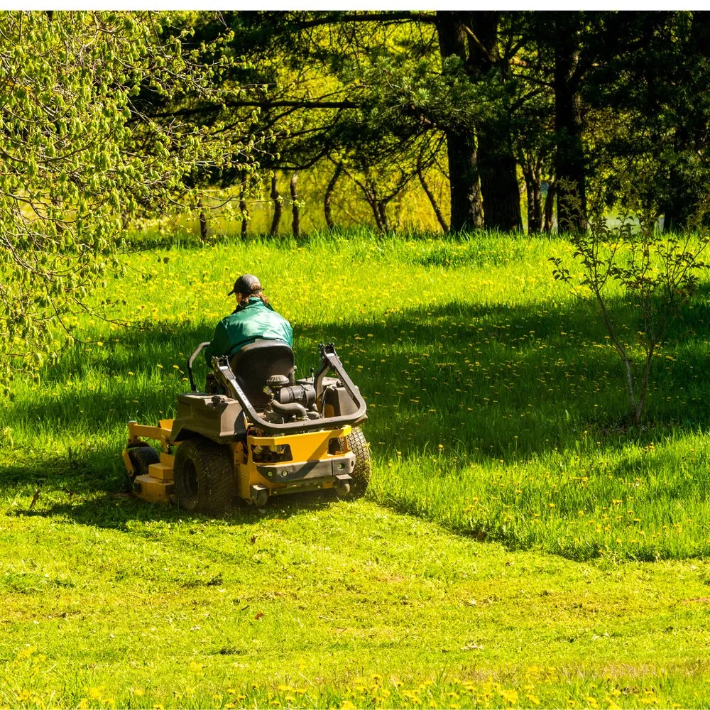 Custom outdoor landscaping experts serving Tucker, GA - Lifespan Lawn Care