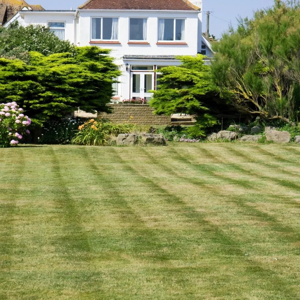 Trusted yard maintenance in Tucker, GA - Lifespan Lawn Care