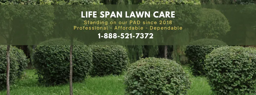 Custom landscape design for residential properties across Tucker, GA - Lifespan Lawn Care