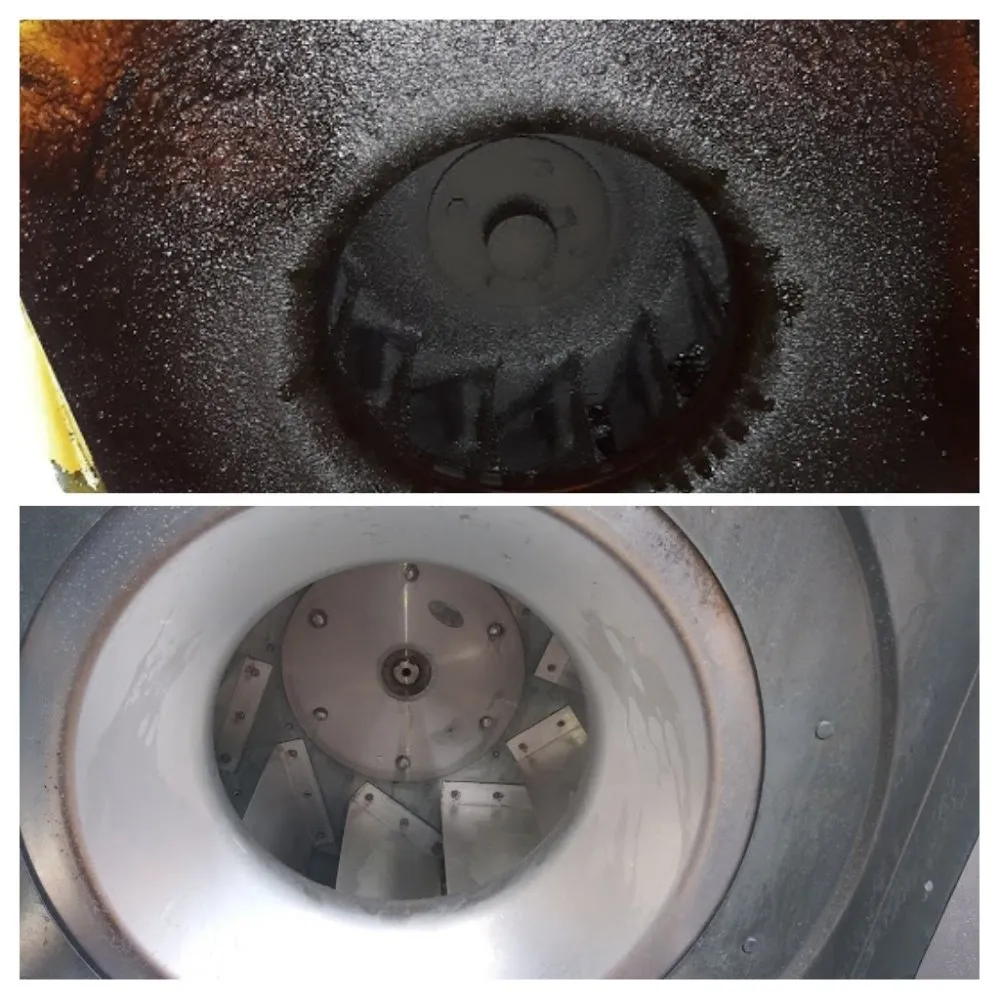 Professional yard cleanup service in Hartford, CT by Lifestyle Cleaning Solutions