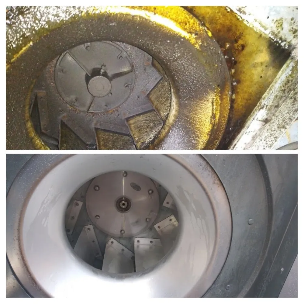 Professional yard cleanup service in Hartford, CT by Lifestyle Cleaning Solutions