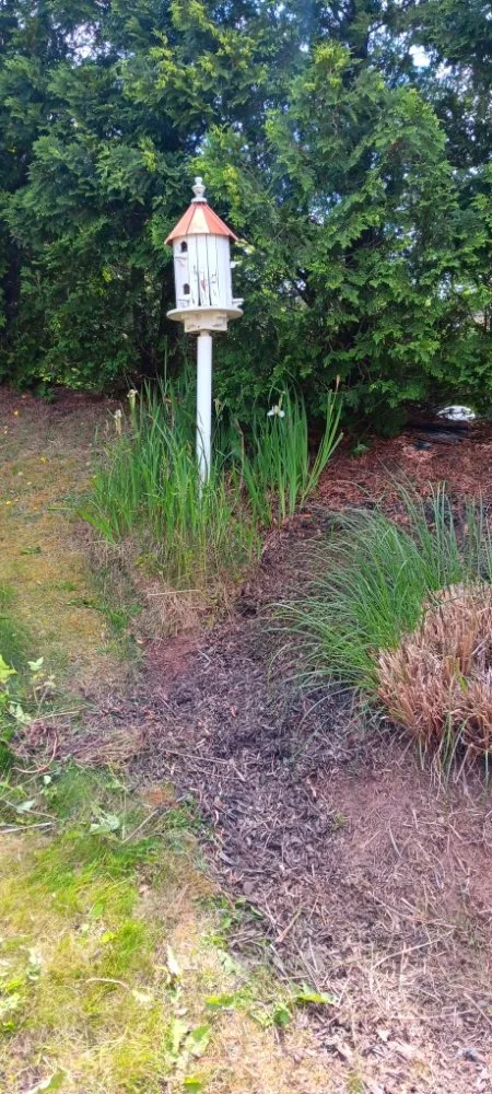 Affordable landscaping services with custom design in Hartford, CT by Lifestyle Cleaning Solutions