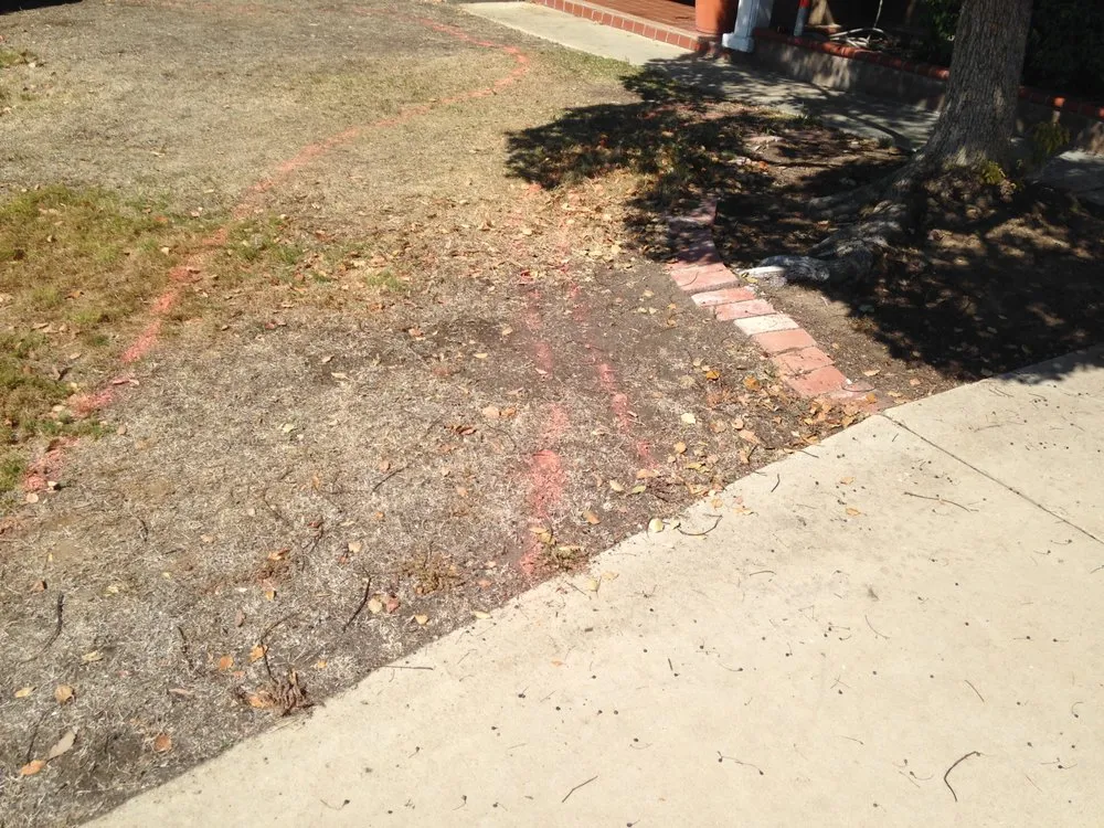 Professional landscaping services in San Diego, CA by Lifestyle Design & Construction