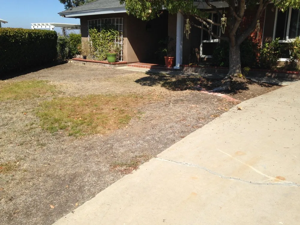 Affordable landscape installation experts serving San Diego, CA - Lifestyle Design & Construction