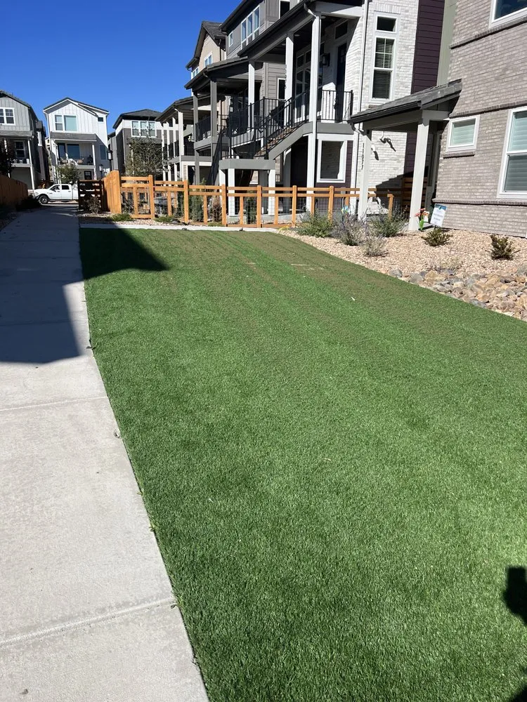 Expert yard maintenance experts serving Denver, CO - Lifestyle Landscape