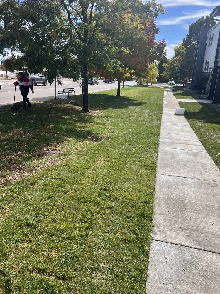 Expert landscape installation in Denver, CO - Lifestyle Landscape