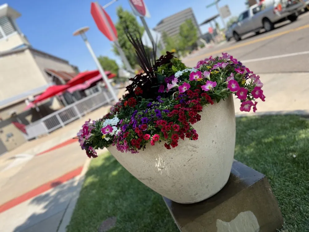 Custom outdoor landscaping experts serving Denver, CO - Lifestyle Landscape