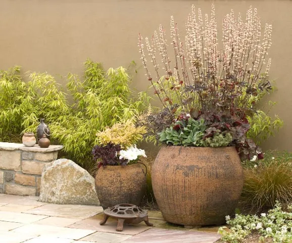 Local landscape design for year-round maintenance in Seattle, WA by Lifestyle Landscapes