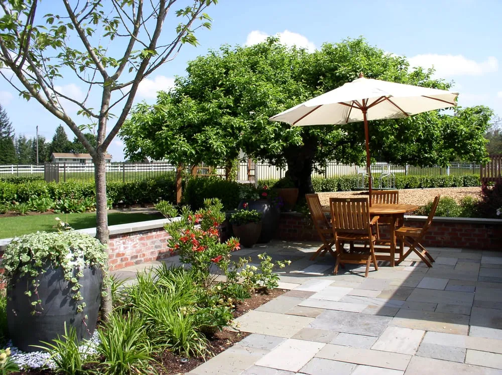 Professional yard maintenance in Seattle, WA - Lifestyle Landscapes