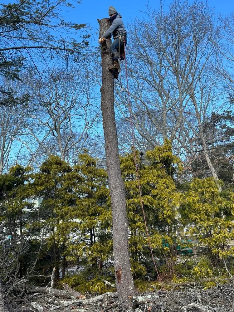 Expert yard maintenance experts serving East Meadow, NY - Lifetime Irrigation