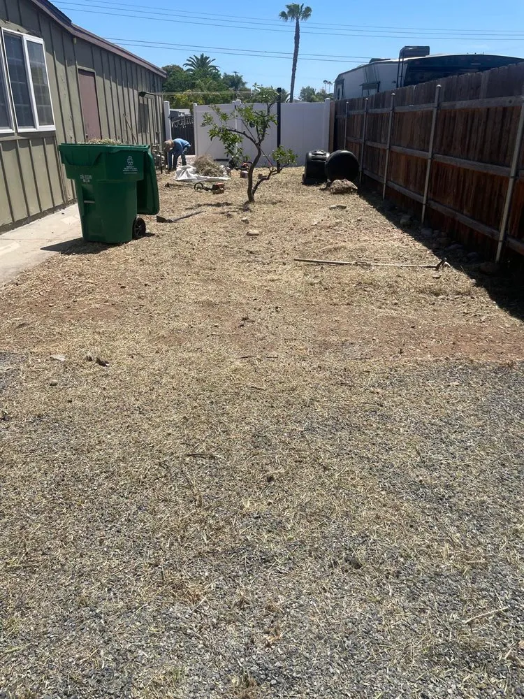 Trusted yard cleanup service experts serving Escondido, CA - Lifetime Tree Care