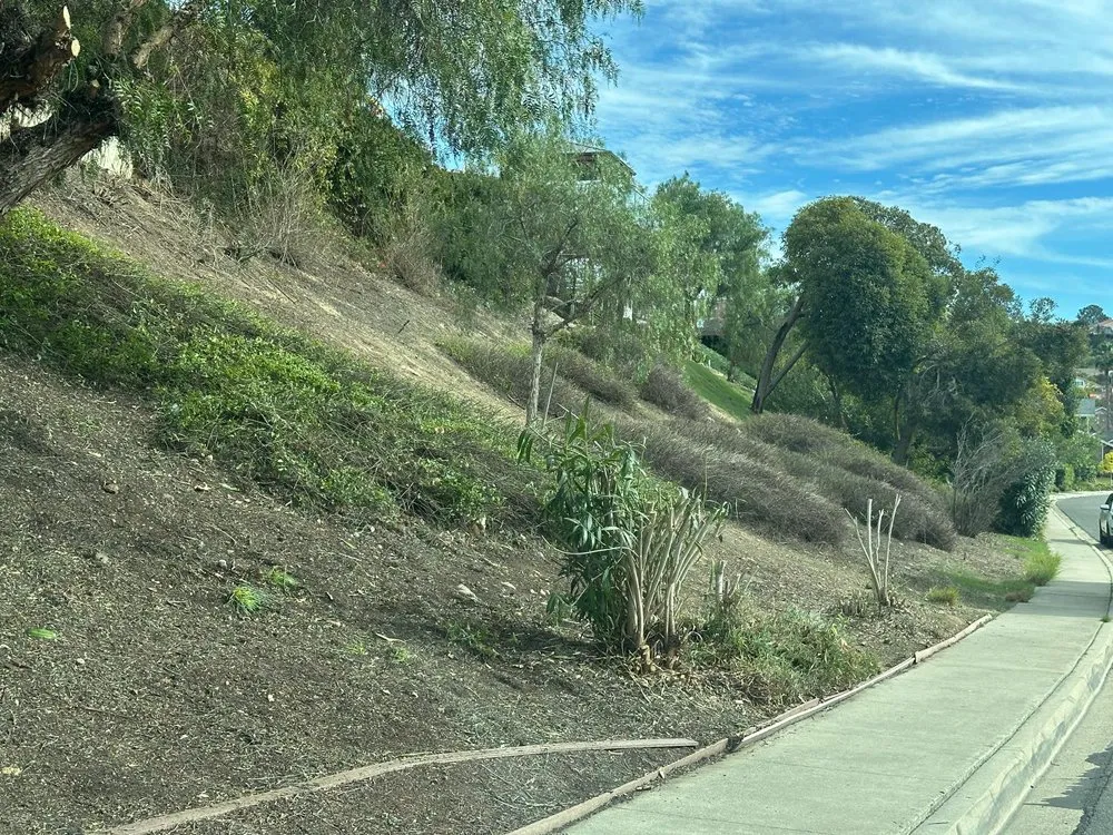 Affordable yard maintenance experts serving Escondido, CA - Lifetime Tree Care