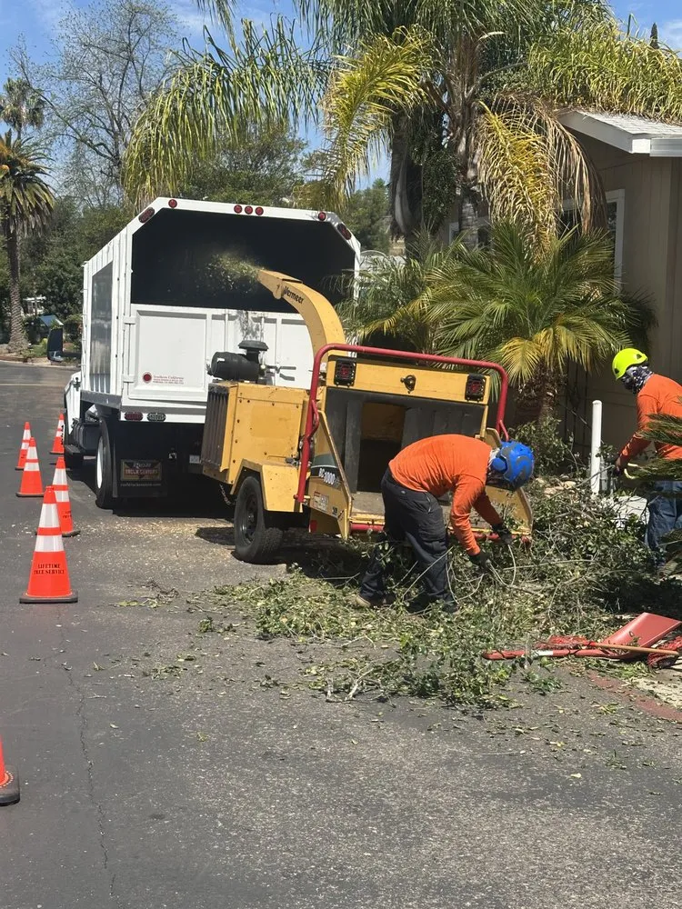 Top-rated residential landscaping with custom design across Escondido, CA - Lifetime Tree Care