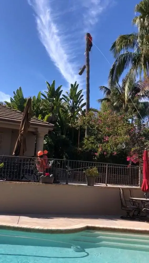 Local garden landscaping in Escondido, CA - Lifetime Tree Care