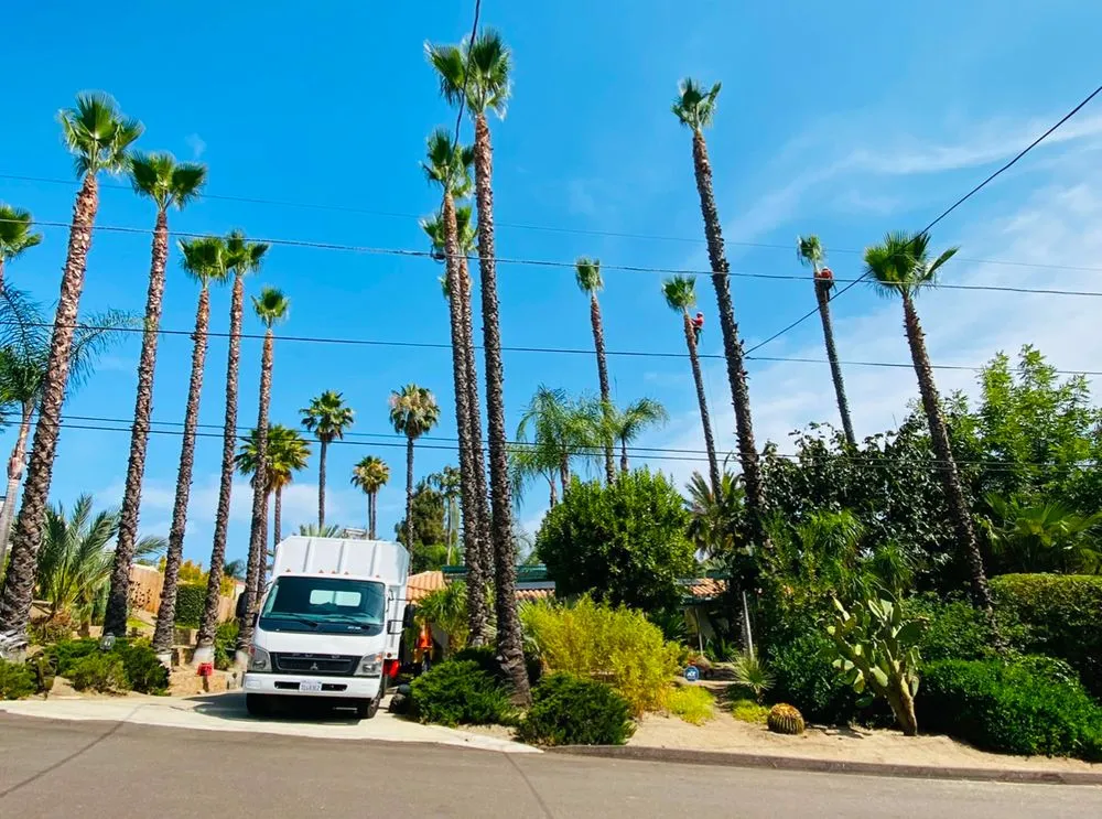 Trusted garden landscaping experts serving Escondido, CA - Lifetime Tree Service
