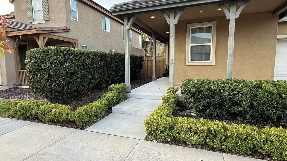 Local lawn care service experts serving Escondido, CA - Lifetime Tree Service