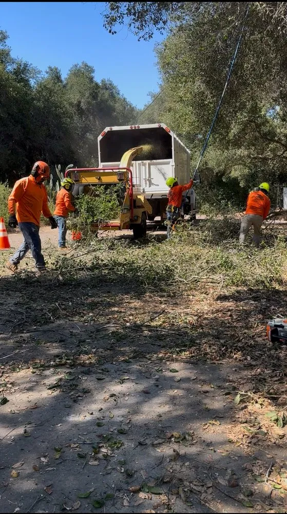 Custom residential landscaping in Escondido, CA - Lifetime Tree Service
